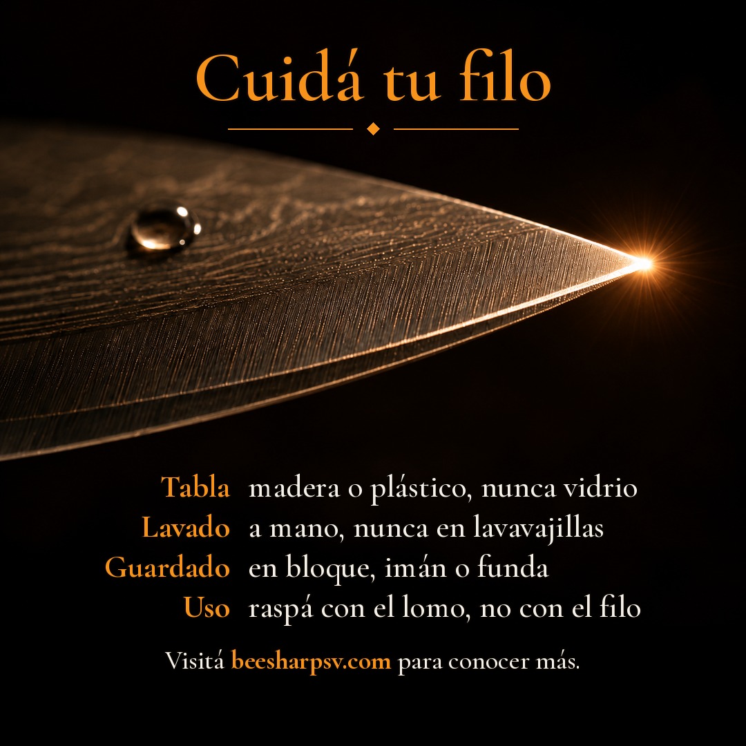 Punta de un cuchillo de cocina con una gota de agua. Cuidá tu filo: tabla de madera o plástico, nunca vidrio; lavado a mano, nunca en el lavavajillas; guardado en bloque, imán o funda; raspá con el lomo, no con el filo.